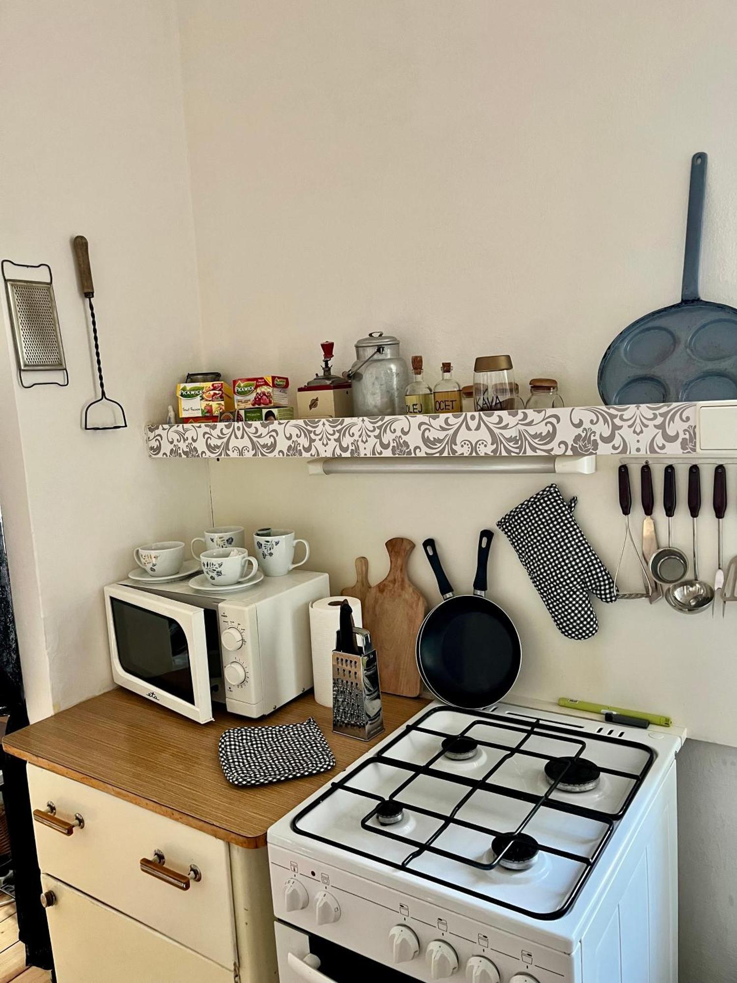 Slunny Byt S Krasnym Vyhledem Daire Nové Město nad Metují Dış mekan fotoğraf