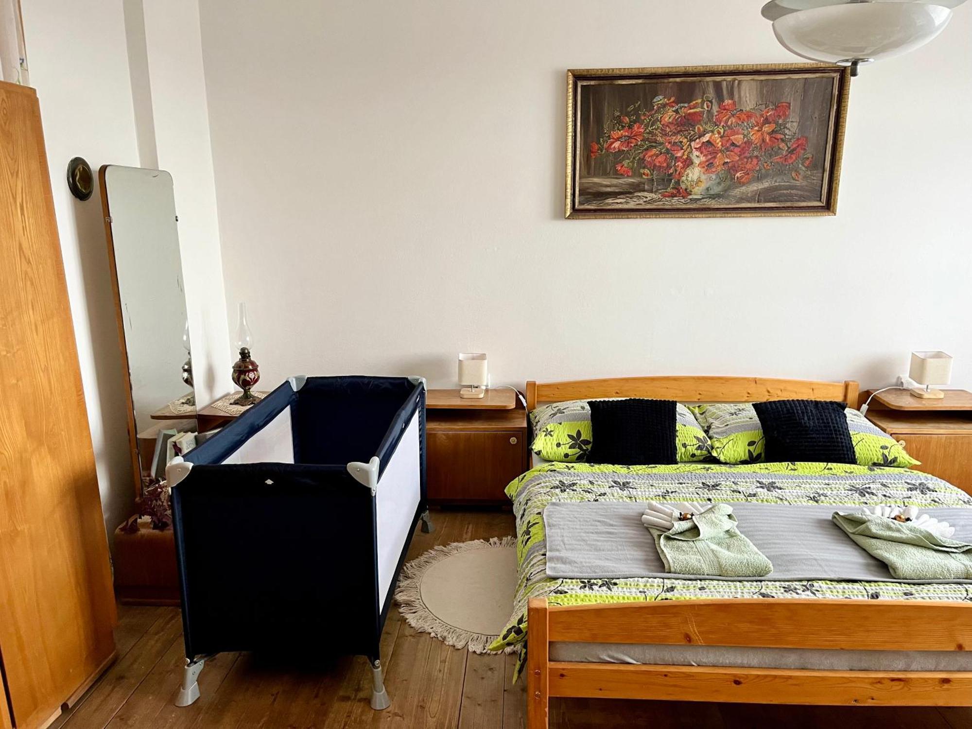 Slunny Byt S Krasnym Vyhledem Daire Nové Město nad Metují Dış mekan fotoğraf