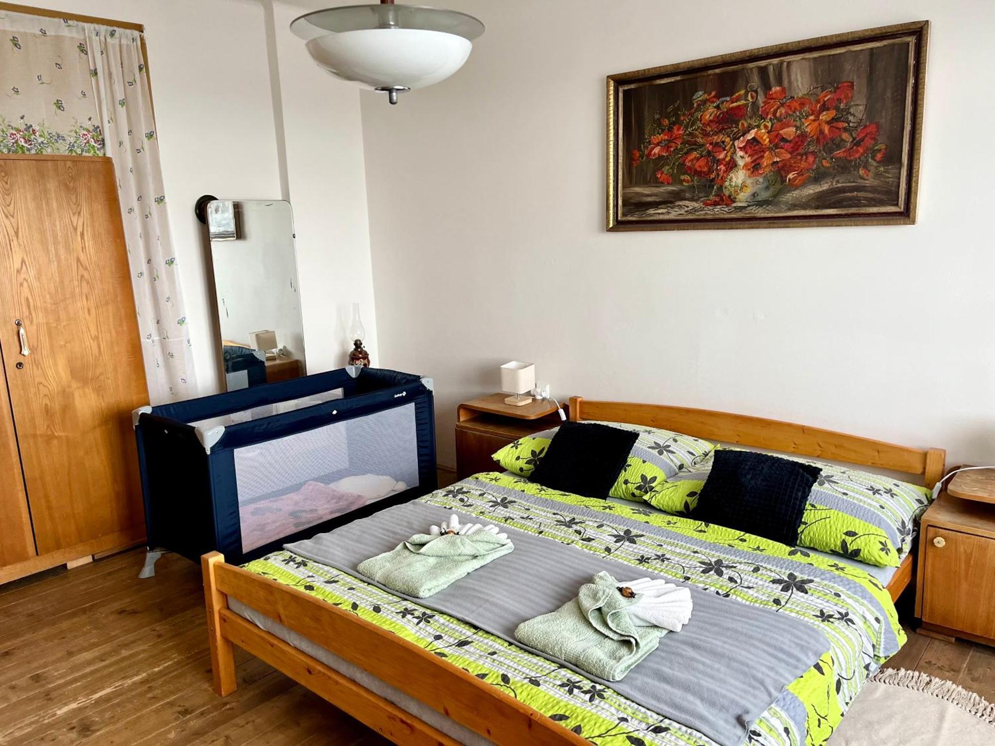 Slunny Byt S Krasnym Vyhledem Daire Nové Město nad Metují Dış mekan fotoğraf